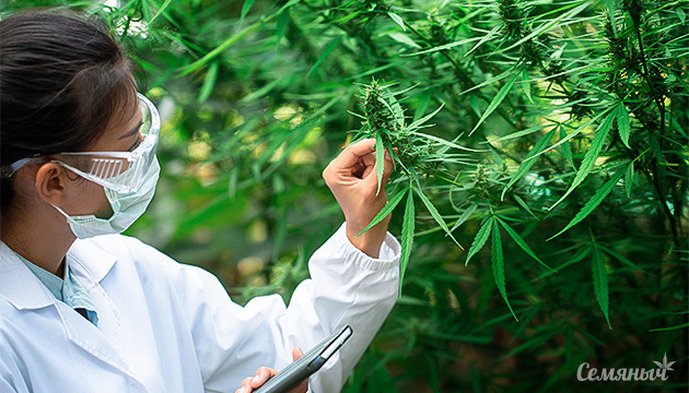 5 условий отличного урожая